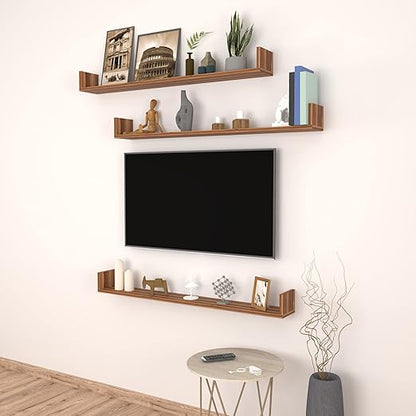 Set of 3 Wall Shelves for Entryway