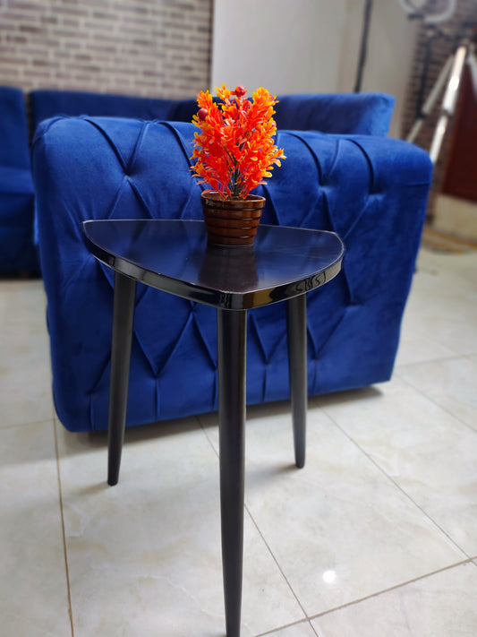 Elegent Coffee Table
